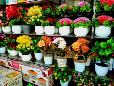 WhatsApp-Image-2025-09-23-at-5.04.24-PM