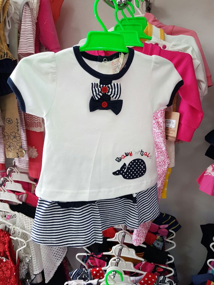 504117747_4090818717852917_1328406280564532633_n