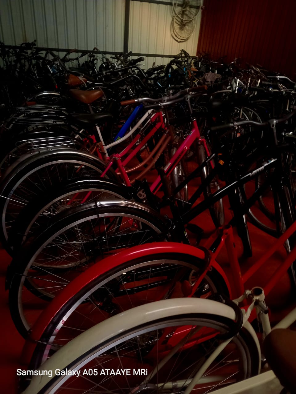 7e930dc1-0cf2-48a0-95c5-d99607d8dd47